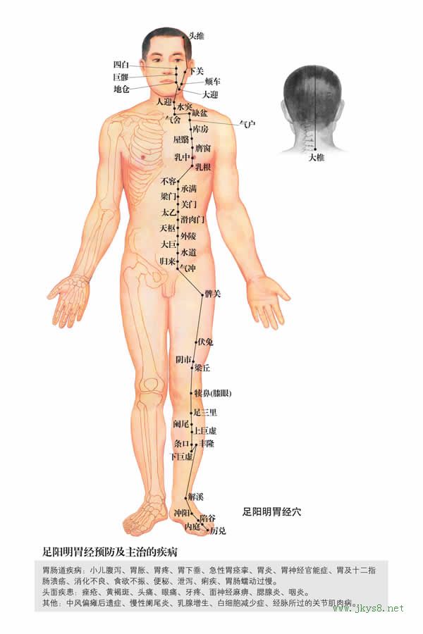 丰隆穴：胃经(图文)