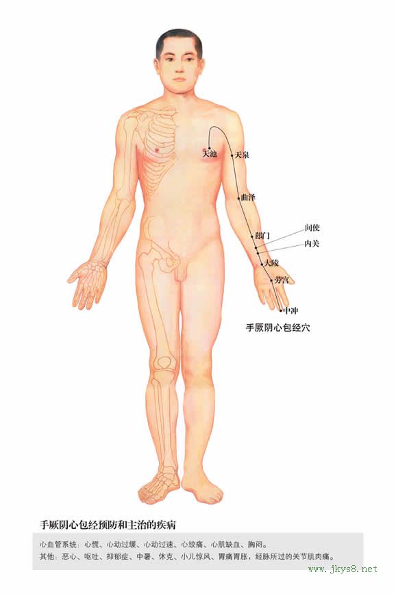 劳宫穴：心包经(图文)