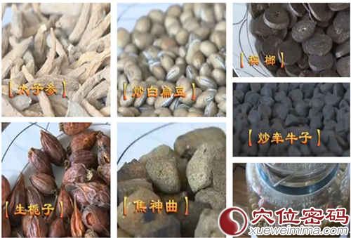 太子参、炒白扁豆、生栀子、焦神曲、槟榔、炒牵牛子